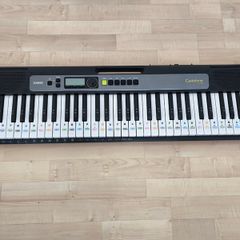 Casio LK S250 Keyboard