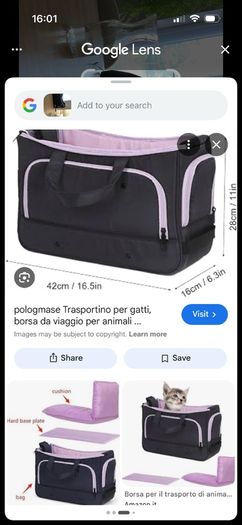 cat bag