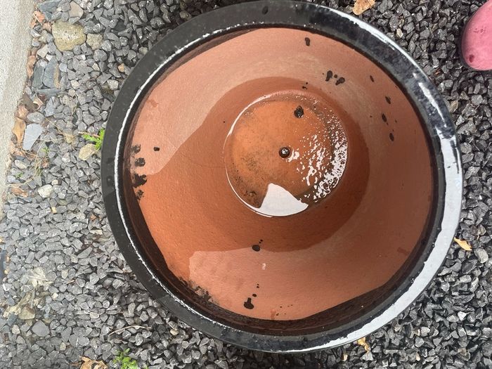 ceramic pot
