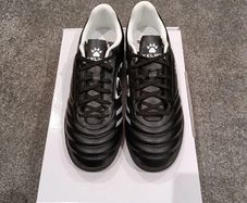 men's astro boots