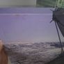 canvases Image 3