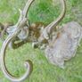 Vintage Italian Style Brass Male Figure Decorative Stick Umbrella Stand Rack 23" Image 10