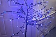 Tree...reduced To