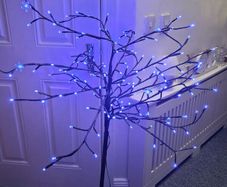 Tree...reduced To