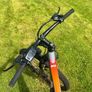 e bike Image 6