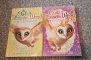 The Owls of the Blossom Wood