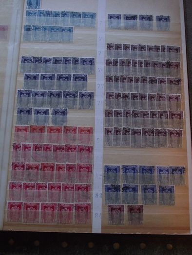 A nice collection of Stamps from India, presented in the stock book