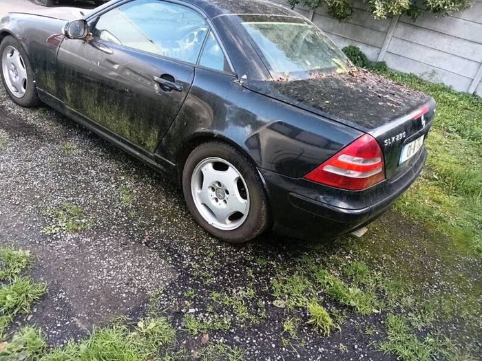 Mercedes-Benz vintage fell offended tomorrow
