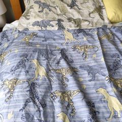 T-rex single duvet cover set (reversible)
