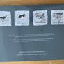 Table Mats x 4, Coasters x 4 - New Image 2