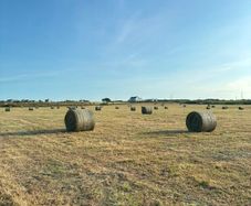 Hay for Sale