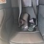 Joie 360 car seat Image 6