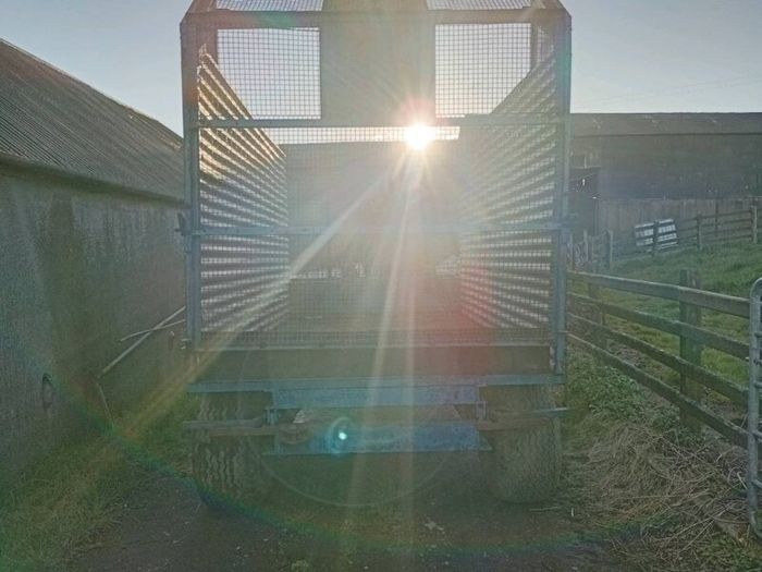 Silage Trailer 11X6.6
