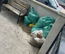 horse manure fresh