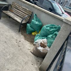 horse manure fresh