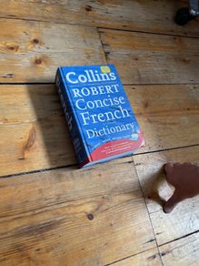 COLLINS French Dictionary