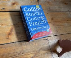 COLLINS French Dictionary