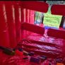 Bouncing castle Image 5