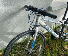Free Bike