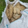 Galway Wool Image 5
