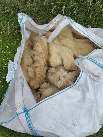 Galway Wool