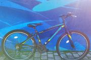 Mountain Bike Spartan