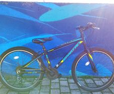 Mountain Bike Spartan