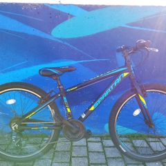 Mountain Bike Spartan