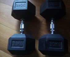 30kg dumbells