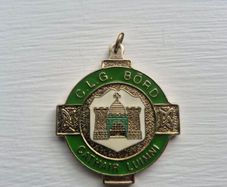 Limerick GAA Club Medal