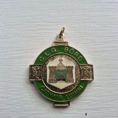 Limerick GAA Club Medal