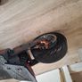 electric scooter Image 4