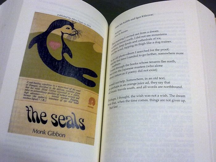 Reading the future New writing from Ireland