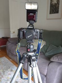 Nikon F-801