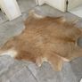 Large Cowhide Rug 200 x 230cms, Natural, Modern Living Room Statement, Excellent Condition Image 2