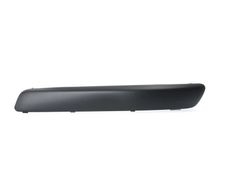Fiat Idea front molding