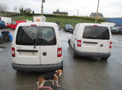 caddy 1.9  2.0