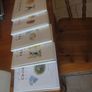 A treasury of childrens classics... Image 2
