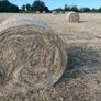 Hay Image 3
