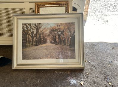 large picture with silver frame
