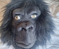 gorilla mask