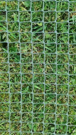 Mesh, green, plastic, approx. 49cm high, 2x2cm, x  4 pieces