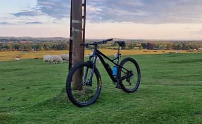 Orbea Laufey H10 XL