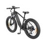 DYU King 750 Mountain E-Bike Image 5