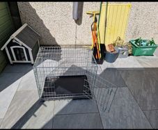 Medium size dog crate for sale