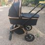 Buggy Image 3