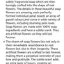 Soap Roses Image 4