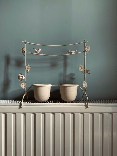 flower pot