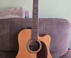 Zager ZAD-50CE Natural