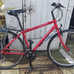 Town Bike
